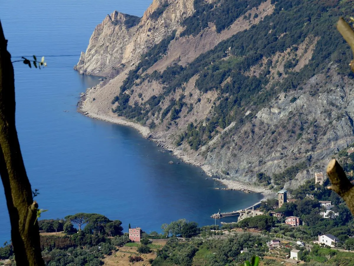 I Lecci Di Soviore Monterosso al Mare